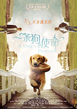 欧美高h视频